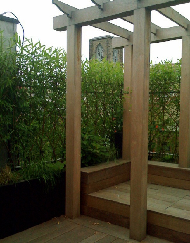 Living Willow Hedges • Insteading